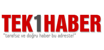 Tek1Haber CM News Standart sürüm